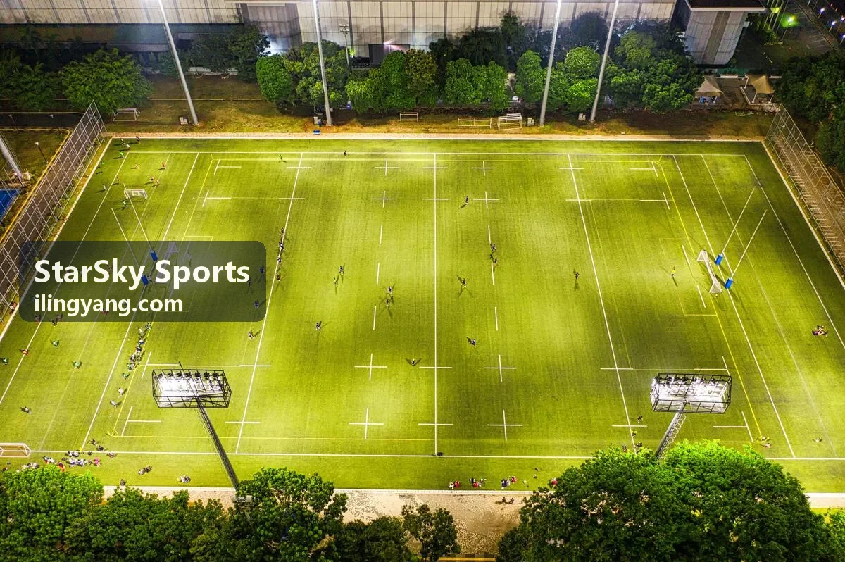 StarSky Sports 推荐条目封面：可穿戴设备心率数据对比